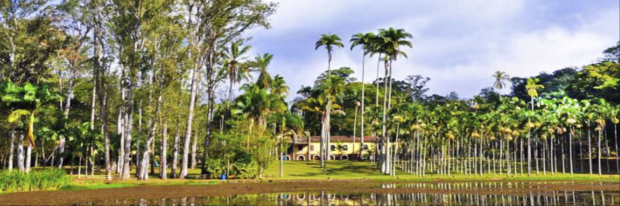 RIO CLARO ROTEIRO